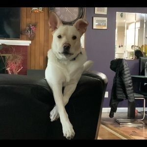 Meet your Posher, Santos